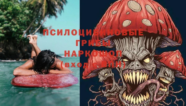 МДПВ Слюдянка