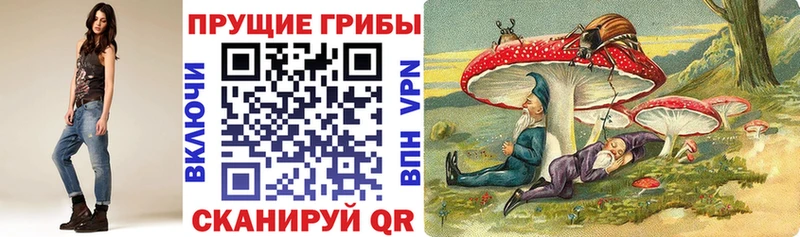 omg ссылки  цена   Карабаново  Псилоцибиновые грибы Cubensis 