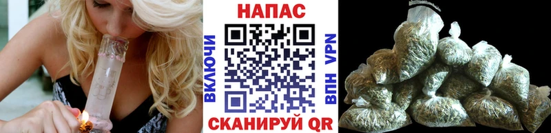 Марихуана сатива Карабаново