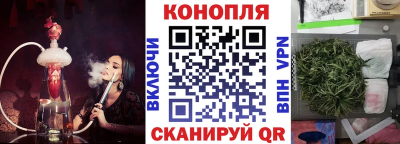 Бошки Шишки сатива  купить закладку  Карабаново 